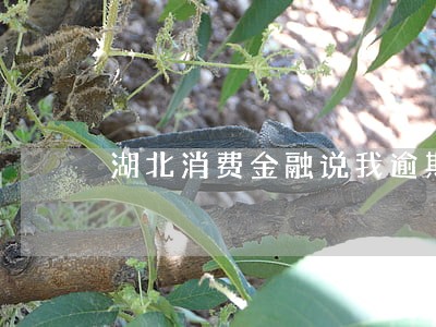 湖北消费金融说我逾期 湖北消费金融说我逾期