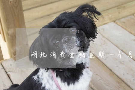 湖北消费金融逾期一个月 湖北消费金融逾期一个月
