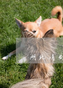 湖北消费金融逾期一天就上征信 湖北消费金融逾期一天就上征信