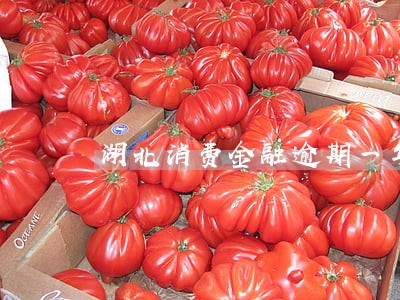 湖北消费金融逾期一年怎么办 湖北消费金融逾期一年怎么办
