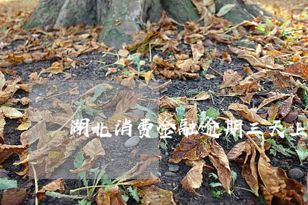 湖北消费金融逾期三天上征信 湖北消费金融逾期三天上征信