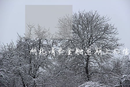 湖北消费金融逾期上征信吗 湖北消费金融逾期上征信吗