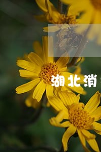 湖北消费金融逾期上门 湖北消费金融逾期上门