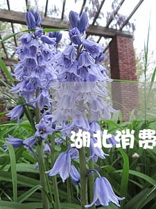 湖北消费金融逾期多久 湖北消费金融逾期多久