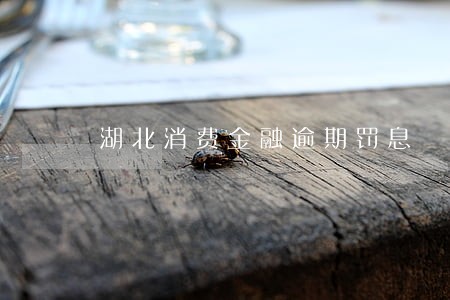 湖北消费金融逾期罚息