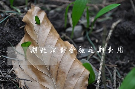 湖北消费金融逾期费用 湖北消费金融逾期费用