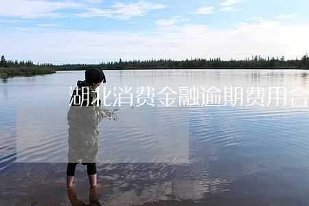 湖北消费金融逾期费用合法吗 湖北消费金融逾期费用合法吗
