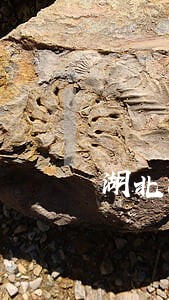 湖北涉外股权律师在线咨询 湖北涉外股权律师在线咨询