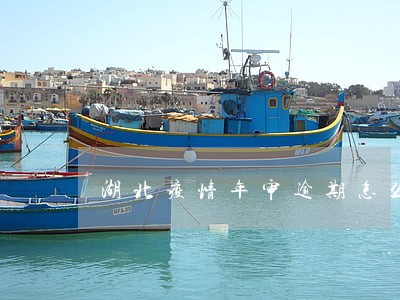 湖北疫情年审逾期怎么办