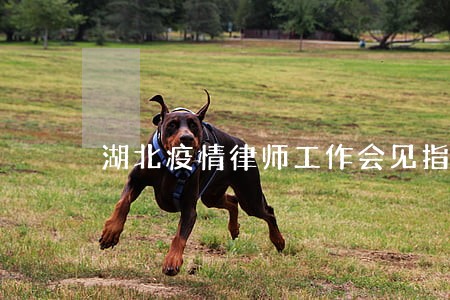 湖北疫情律师工作会见指引 湖北疫情律师工作会见指引