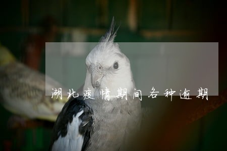 湖北疫情期间各种逾期 湖北疫情期间各种逾期