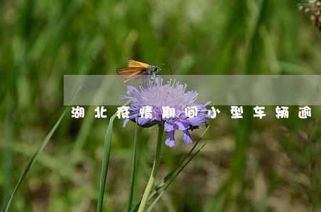 湖北疫情期间小型车辆逾期年审 湖北疫情期间小型车辆逾期年审