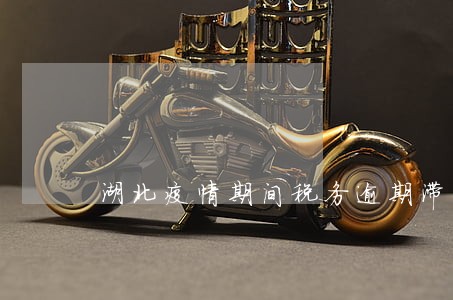 湖北疫情期间税务逾期滞纳金 湖北疫情期间税务逾期滞纳金