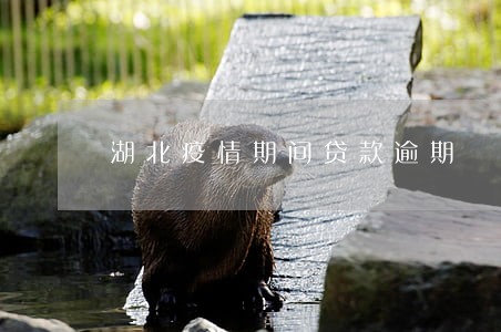 湖北疫情期间贷款逾期 湖北疫情期间贷款逾期