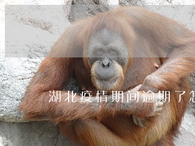 湖北疫情期间逾期了怎么办 湖北疫情期间逾期了怎么办