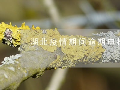 湖北疫情期间逾期申报不处罚 湖北疫情期间逾期申报不处罚