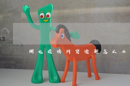 湖北疫情网贷逾期怎么办 湖北疫情网贷逾期怎么办