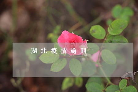 湖北疫情逾期