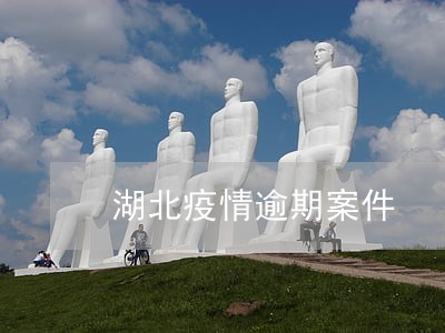 湖北疫情逾期案件 湖北疫情逾期案件