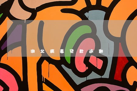 湖北病毒贷款逾期