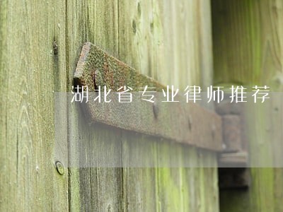 湖北省专业律师推荐 湖北省专业律师推荐
