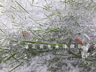 湖北省专业律师联系方式 湖北省专业律师联系方式