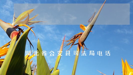 湖北省公安县司法局电话