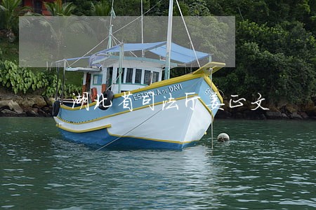 湖北省司法厅姜正文 湖北省司法厅姜正文