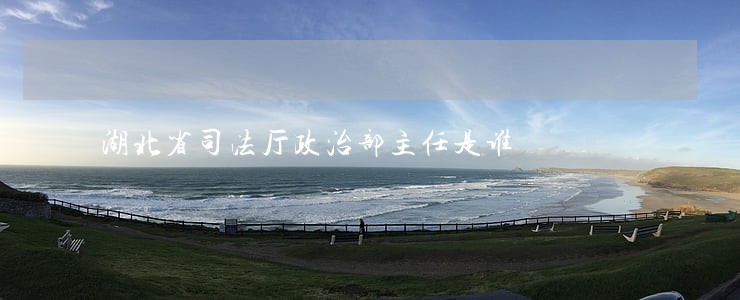 湖北省司法厅政治部主任是谁 湖北省司法厅政治部主任是谁