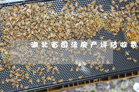 湖北省司法房产评估收费标准 湖北省司法房产评估收费标准