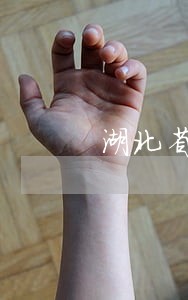 湖北省司法求助制度