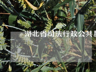 湖北省司法行政公共服务平台