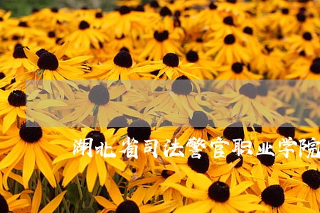 湖北省司法警官职业学院法律文秘 湖北省司法警官职业学院法律文秘