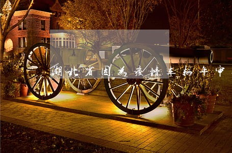 湖北省因为疫情车辆年审逾期 湖北省因为疫情车辆年审逾期