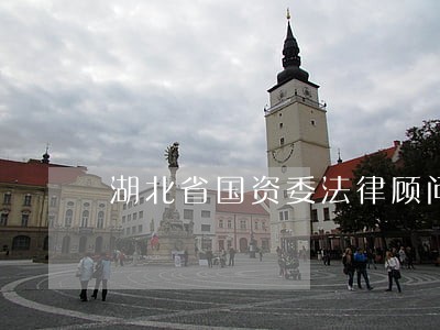湖北省国资委法律顾问邓律师