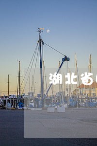 湖北省图书馆逾期半年 湖北省图书馆逾期半年