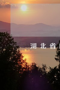 湖北省图书馆逾期费用 湖北省图书馆逾期费用