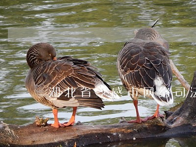 湖北省孝感市网络司法拍卖 湖北省孝感市网络司法拍卖