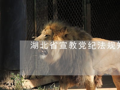 湖北省宣教党纪法规知识测试题