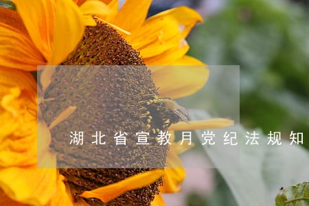 湖北省宣教月党纪法规知识考试