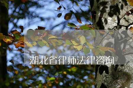 湖北省律师法律咨询 湖北省律师法律咨询
