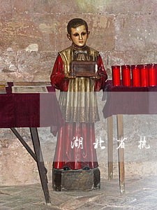 湖北省执业律师证号查询 湖北省执业律师证号查询