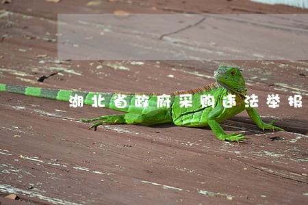 湖北省政府采购违法举报 湖北省政府采购违法举报