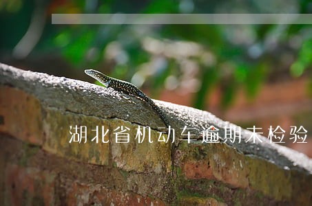 湖北省机动车逾期未检验时间 湖北省机动车逾期未检验时间