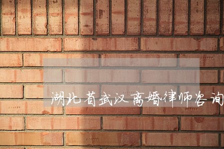 湖北省武汉离婚律师咨询 湖北省武汉离婚律师咨询