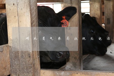 湖北省气象局法规处电话 湖北省气象局法规处电话