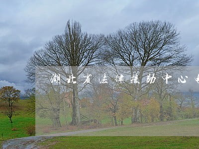 湖北省法律援助中心电话 湖北省法律援助中心电话
