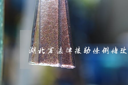 湖北省法律援助条例修改 湖北省法律援助条例修改