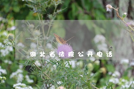湖北省法院公开电话