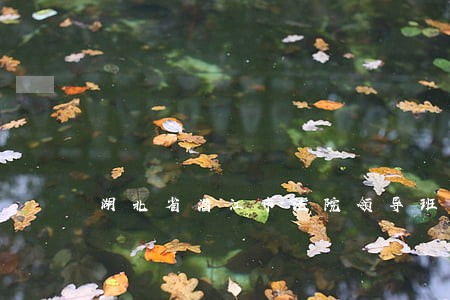 湖北省潜江市法院领导班子